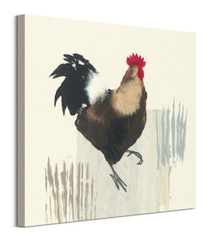 Cockerel - obraz na płótnie 60x60 cm
