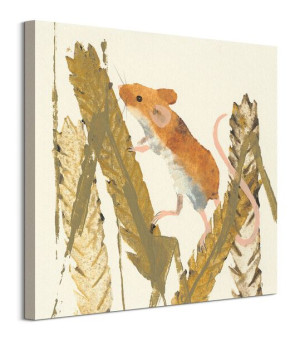 Harvest Mouse - obraz na płótnie 60x60 cm