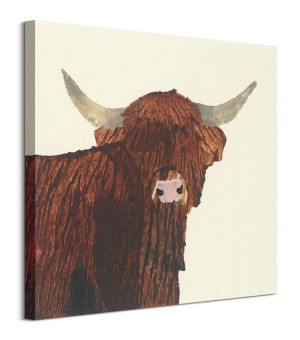 Highland Cow - obraz na płótnie 60x60 cm