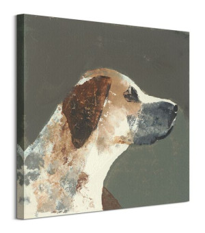 Humphrey - obraz na płótnie 60x60 cm