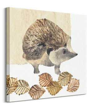 Hedgehog - obraz na płótnie 60x60 cm
