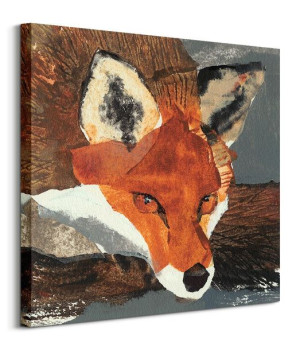 Fox - obraz na płótnie 60x60 cm