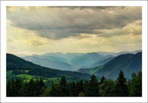 Promienie słońca - plakat 70x50 cm