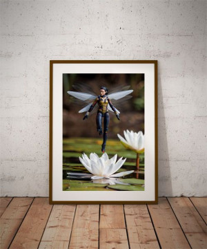 Wasp - plakat 42x59,4 cm