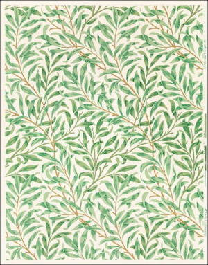 Vintage willow bough vintage illustration wall art print and poster design