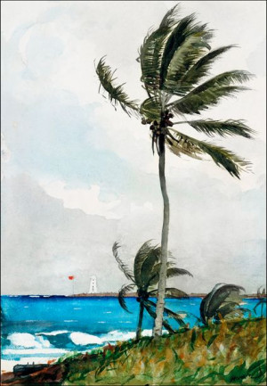 Palm Tree, Nassau, Winslow Homer - plakat 30x40 cm