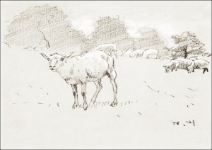 Sheep Grazing in a Field, Winslow Homer - plakat 50x40 cm