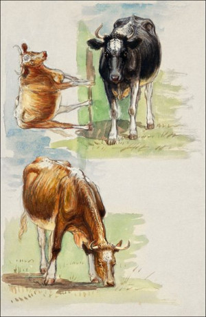 Cattle, Steers, Samuel Colman - plakat 60x80 cm