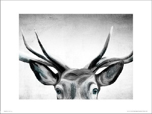 Deer Eyes - plakat premium 40x30 cm