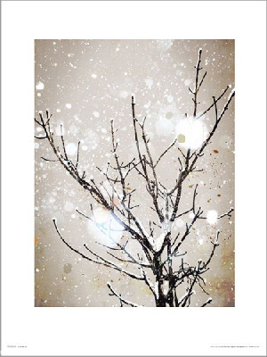 Christmas Icy Branches - plakat premium 30x40 cm