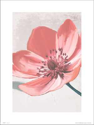 Floral Pink - plakat premium 30x40 cm