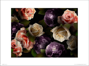 Róże Roses Dark - plakat premium 40x30 cm