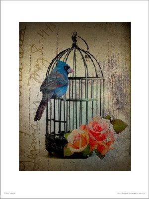 Birdcage Vintage - plakat premium 30x40 cm