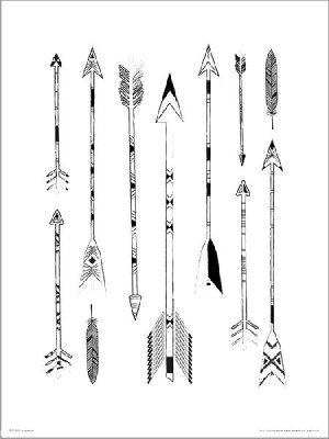 Arrows Feathers - plakat premium 30x40 cm