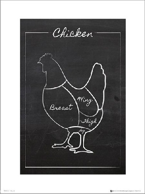 Chicken Chalk Portrait - plakat premium 30x40 cm