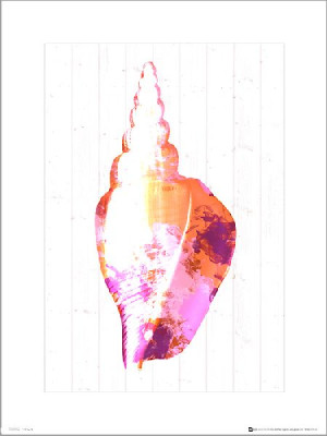 Seaside Shell Pink - plakat premium 30x40 cm