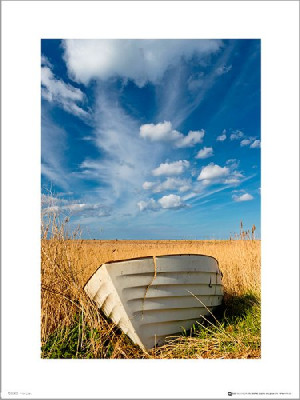 Tom Mackie Boat - plakat premium 30x40 cm