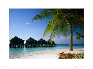 Tom Mackie Beach - plakat premium 40x30 cm