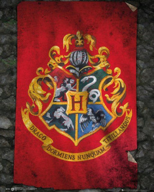 Harry Potter Hogwart - plakat 40x50 cm