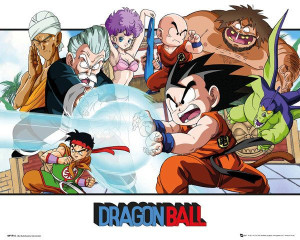 Dragon Ball Walka - plakat 50x40 cm