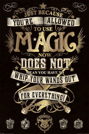 Harry Potter Magia - plakat 61x91,5 cm