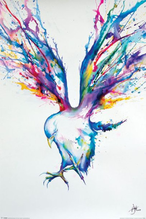 Ptak Marc Allante - plakat 61x91,5 cm