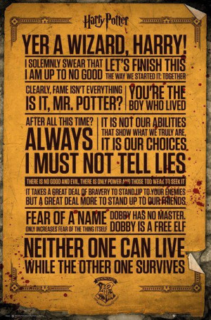 Harry Potter Teksty - plakat 61x91,5 cm