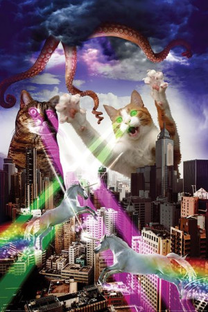 Koty - Apocalypse Meow - plakat 61x91,5 cm