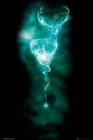 Harry Potter Patronus - plakat 61x91,5 cm
