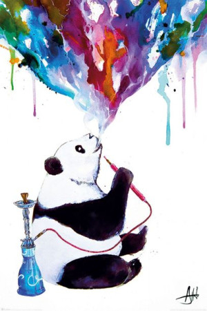 Marc Allante Chai - plakat 61x91,5 cm