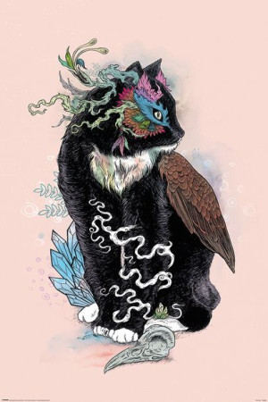Mat Miller Black Magic - plakat 61x91,5 cm