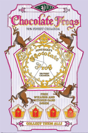 Harry Potter Czekoladowe Żaby - plakat 61x91,5 cm