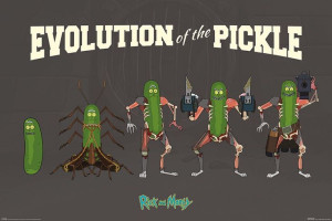Rick and Morty Evolution Of The Pickle Rick - plakat 91,5x61 cm