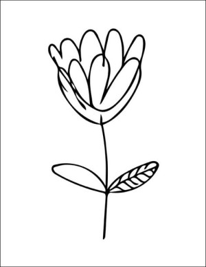Minimalistyczny kwiat - plakat 60x80 cm