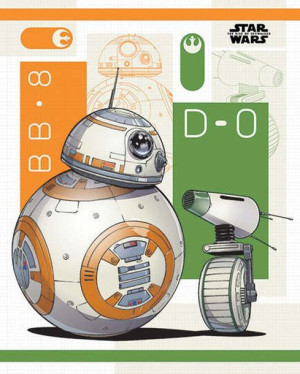 Star Wars Gwiezdne Wojny Skywalker Odrodzenie BB8 i D0 - plakat 40x50 cm