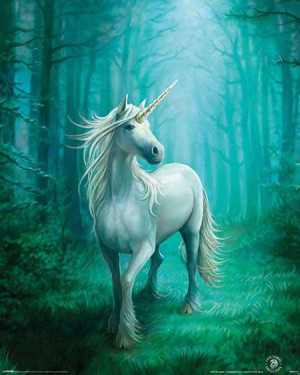 Anne Stokes Unicorn Jednorożec - plakat 40x50 cm