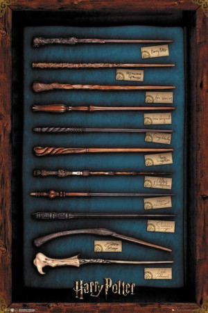 Harry Potter Różdżki - plakat 61x91,5 cm