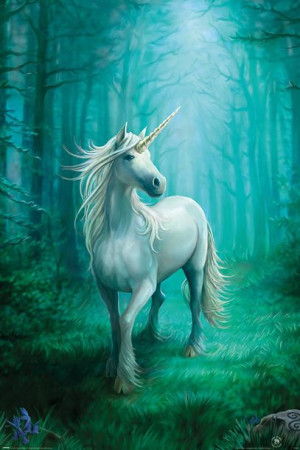 Anne Stokes Unicorn Jednorożec - plakat 61x91,5 cm