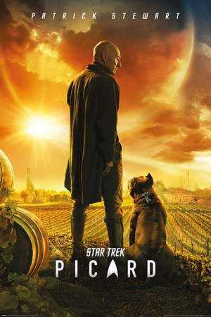 Star Trek Picard - plakat 61x91,5 cm