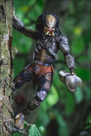 Predator II - plakat 40x50 cm