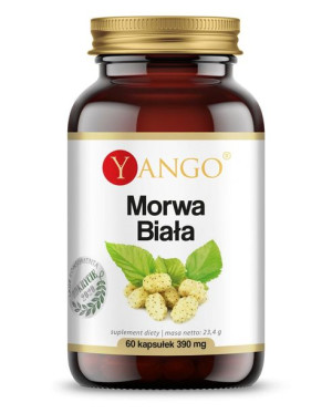 Morwa biała - ekstrakt - 60 kaps Yango