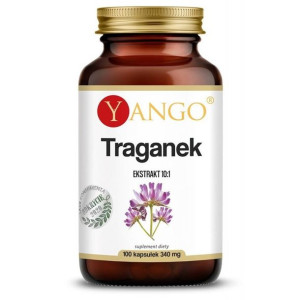 Traganek - ekstrakt 10:1 - 100 kaps Yango