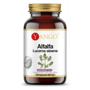 Alfalfa - Lucerna siewna  60 kaps Yango