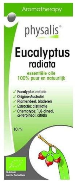 Olejek eteryczny eucalyptus radiata EUKALIPTUS AUSTRALIJSKI BIO 10 ml Physa