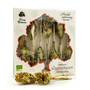 Herbatka na patyku ROZGRZEWAJĄCA BIO (8 x 2,5 g) Dary Natury