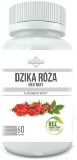 Dzika róża ekstrakt 500mg 60 kapsułek Soul Farm
