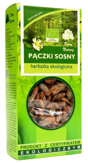 Herbatka pączki sosny BIO 50 g  Dary Natury