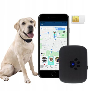 Lokalizator GPS dla psa CALMEAN Maxi + obroża L/XL