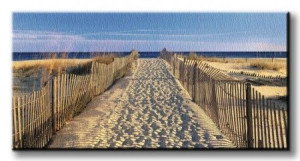 Pathway to the Beach - Obraz na płótnie 100x50 cm