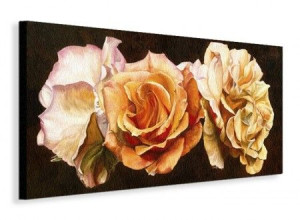 Rose Trio Róża - Obraz na płótnie 100x50 cm